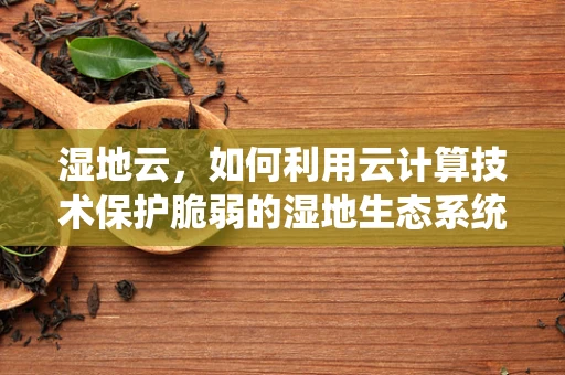 湿地云，如何利用云计算技术保护脆弱的湿地生态系统？