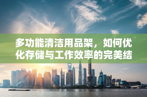 多功能清洁用品架，如何优化存储与工作效率的完美结合？