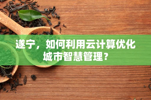 遂宁，如何利用云计算优化城市智慧管理？