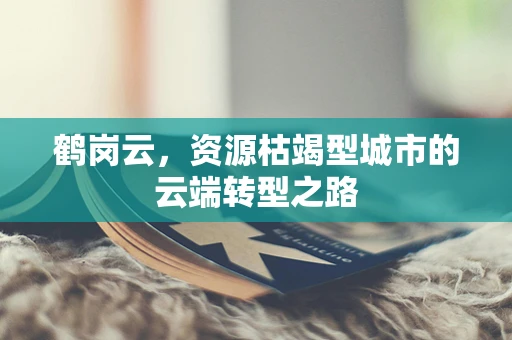 鹤岗云，资源枯竭型城市的云端转型之路