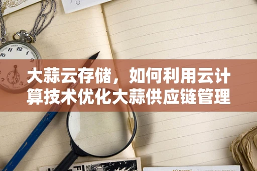 大蒜云存储，如何利用云计算技术优化大蒜供应链管理？