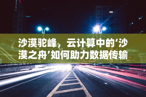 沙漠驼峰，云计算中的‘沙漠之舟’如何助力数据传输？
