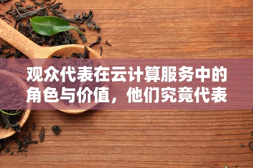 观众代表在云计算服务中的角色与价值，他们究竟代表了什么？