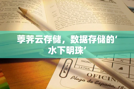 荸荠云存储，数据存储的‘水下明珠’