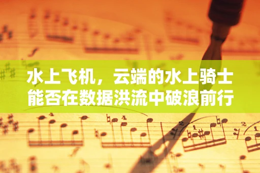 水上飞机，云端的水上骑士能否在数据洪流中破浪前行？