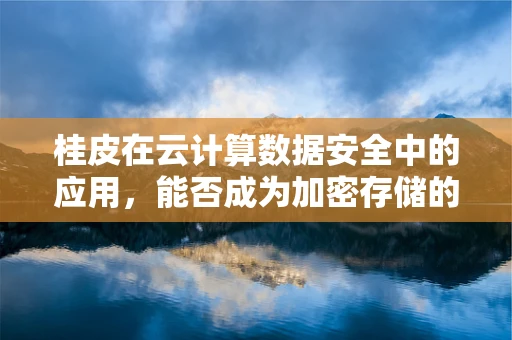 桂皮在云计算数据安全中的应用，能否成为加密存储的天然‘密钥’？