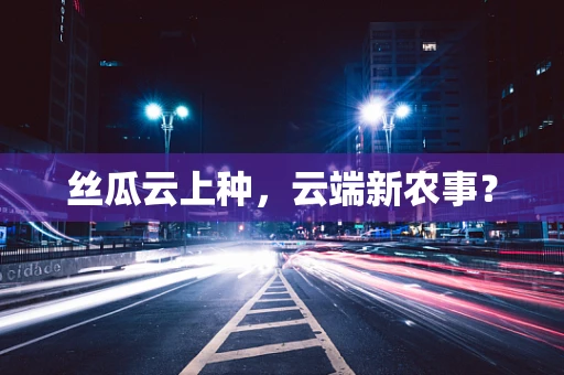 丝瓜云上种，云端新农事？
