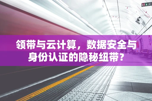 领带与云计算，数据安全与身份认证的隐秘纽带？