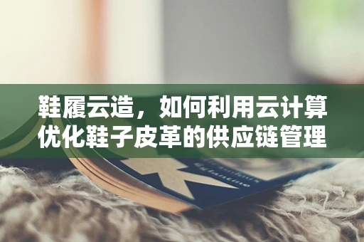 鞋履云造，如何利用云计算优化鞋子皮革的供应链管理？