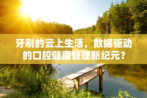 牙刷的云上生活，数据驱动的口腔健康管理新纪元？
