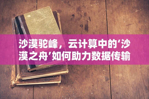 沙漠驼峰，云计算中的‘沙漠之舟’如何助力数据传输？