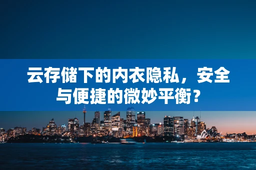 云存储下的内衣隐私，安全与便捷的微妙平衡？