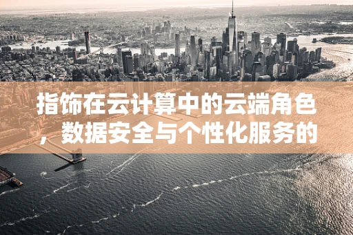 指饰在云计算中的云端角色，数据安全与个性化服务的微妙平衡