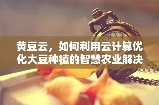 黄豆云，如何利用云计算优化大豆种植的智慧农业解决方案？