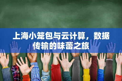 上海小笼包与云计算，数据传输的味蕾之旅