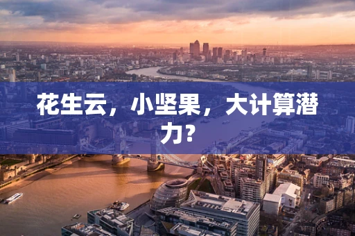 花生云，小坚果，大计算潜力？