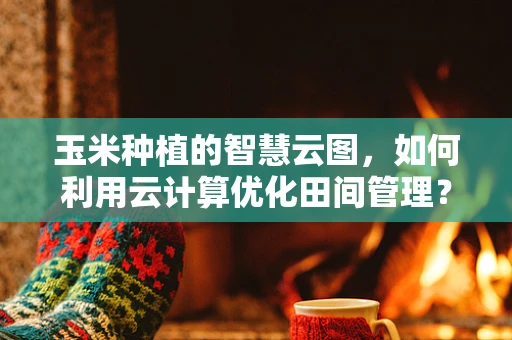 玉米种植的智慧云图，如何利用云计算优化田间管理？