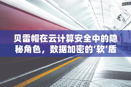 贝雷帽在云计算安全中的隐秘角色，数据加密的‘软’盾？