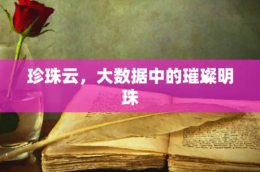珍珠云，大数据中的璀璨明珠