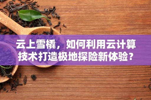 云上雪橇，如何利用云计算技术打造极地探险新体验？