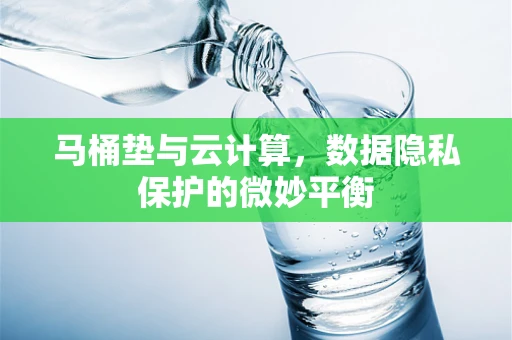 马桶垫与云计算，数据隐私保护的微妙平衡