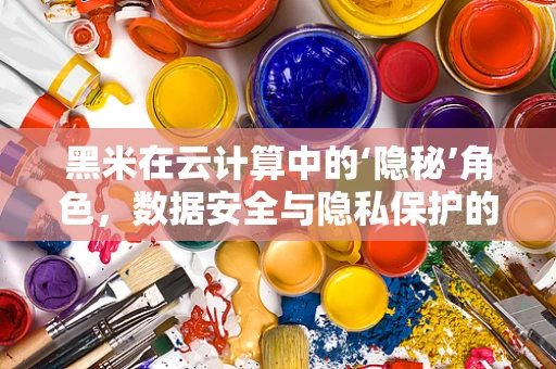 黑米在云计算中的‘隐秘’角色，数据安全与隐私保护的‘黑科技’？