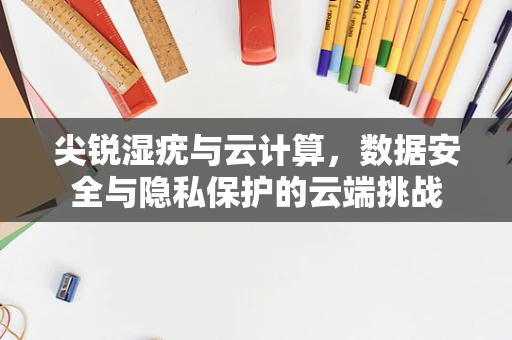 尖锐湿疣与云计算，数据安全与隐私保护的云端挑战