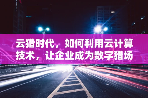 云猎时代，如何利用云计算技术，让企业成为数字猎场中的‘猎人’？