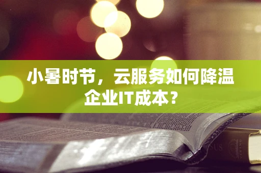 小暑时节，云服务如何降温企业IT成本？