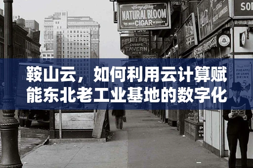 鞍山云，如何利用云计算赋能东北老工业基地的数字化转型？