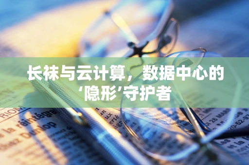 长袜与云计算，数据中心的‘隐形’守护者