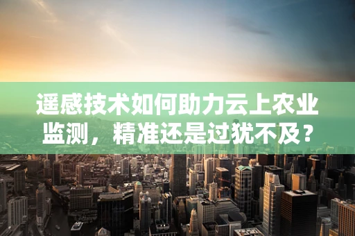 遥感技术如何助力云上农业监测，精准还是过犹不及？