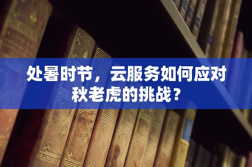 处暑时节，云服务如何应对秋老虎的挑战？