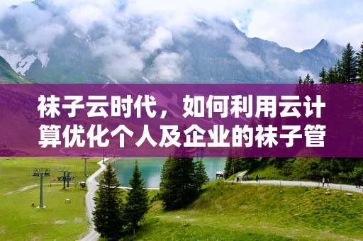 袜子云时代，如何利用云计算优化个人及企业的袜子管理？