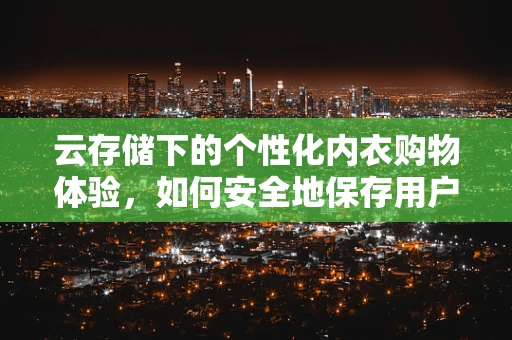 云存储下的个性化内衣购物体验，如何安全地保存用户的隐私偏好？