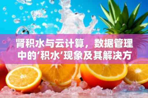肾积水与云计算，数据管理中的‘积水’现象及其解决方案