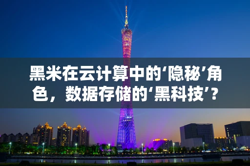 黑米在云计算中的‘隐秘’角色，数据存储的‘黑科技’？