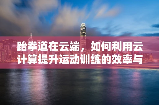 跆拳道在云端，如何利用云计算提升运动训练的效率与个性化？