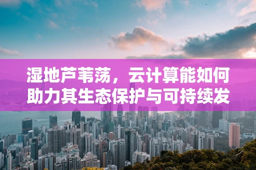 湿地芦苇荡，云计算能如何助力其生态保护与可持续发展？