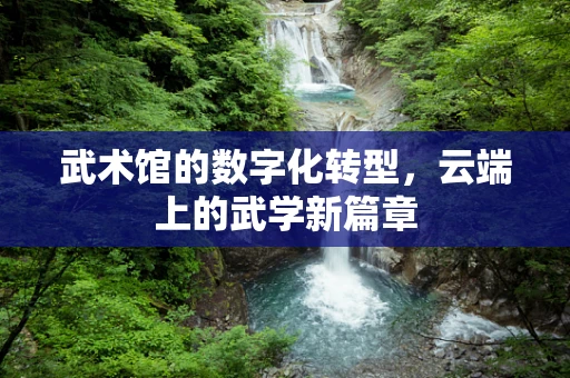 武术馆的数字化转型，云端上的武学新篇章
