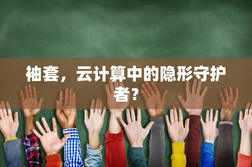 袖套，云计算中的隐形守护者？