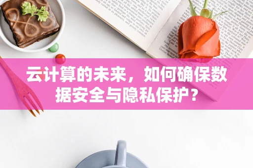 云计算的未来，如何确保数据安全与隐私保护？