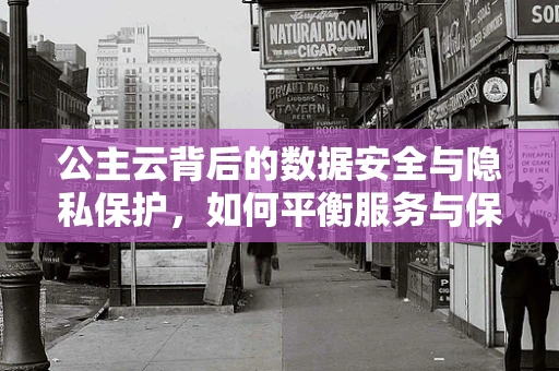 公主云背后的数据安全与隐私保护，如何平衡服务与保障？