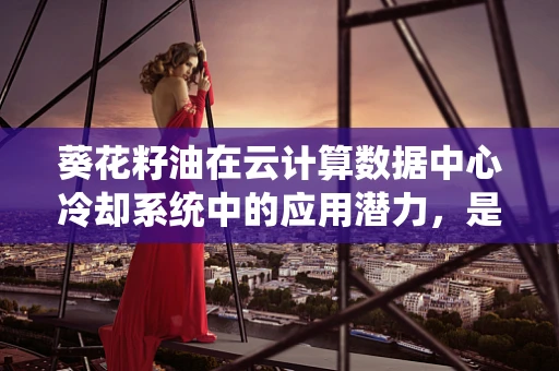 葵花籽油在云计算数据中心冷却系统中的应用潜力，是绿色节能的‘油’然之选吗？
