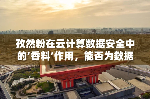 孜然粉在云计算数据安全中的‘香料’作用，能否为数据加密增添一抹独特风味？