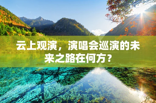 云上观演，演唱会巡演的未来之路在何方？