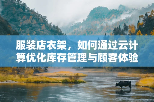 服装店衣架，如何通过云计算优化库存管理与顾客体验？