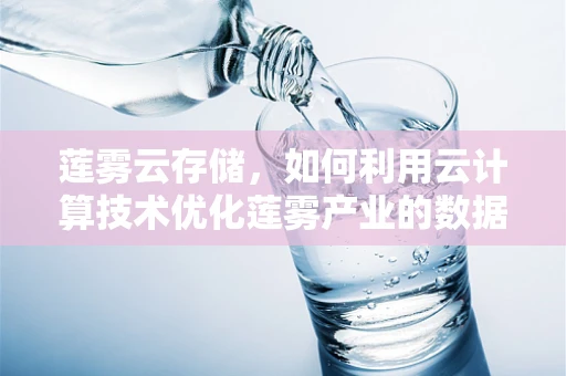 莲雾云存储，如何利用云计算技术优化莲雾产业的数据管理？