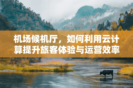 机场候机厅，如何利用云计算提升旅客体验与运营效率？