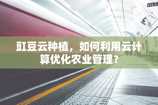 豇豆云种植，如何利用云计算优化农业管理？